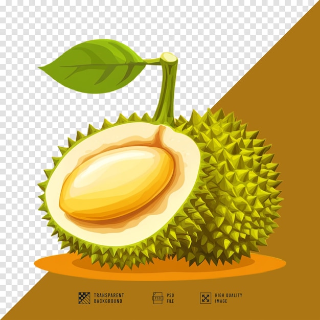 durian fruit logo image without background hd quality