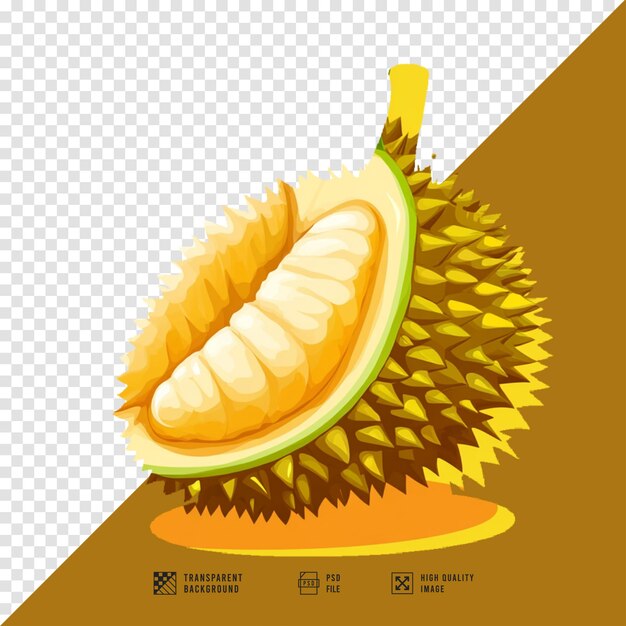 PSD durian fruit logo image without background hd quality