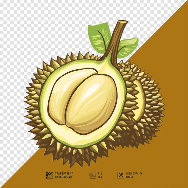 PSD durian fruit logo image without background hd quality