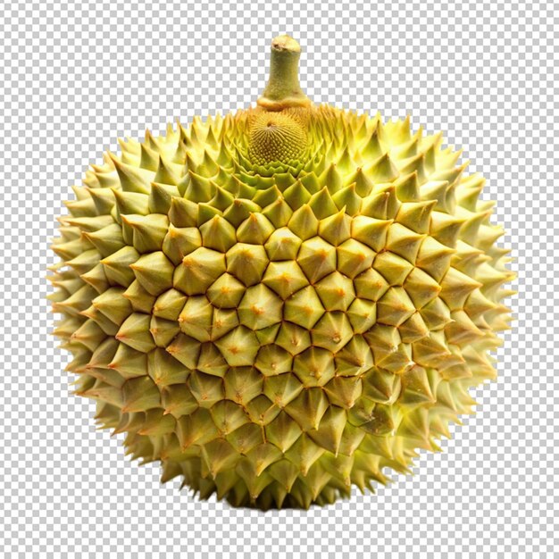 PSD durian fruit on transparent background