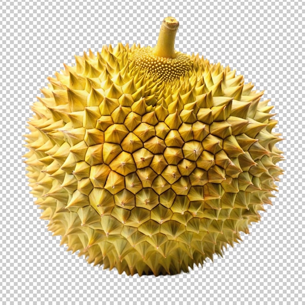 PSD durian fruit on transparent background