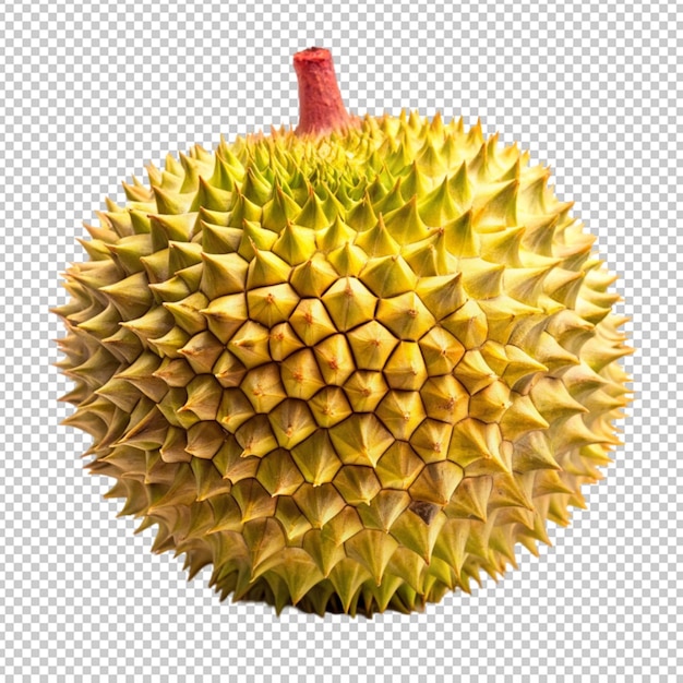 durian fruit on transparent background