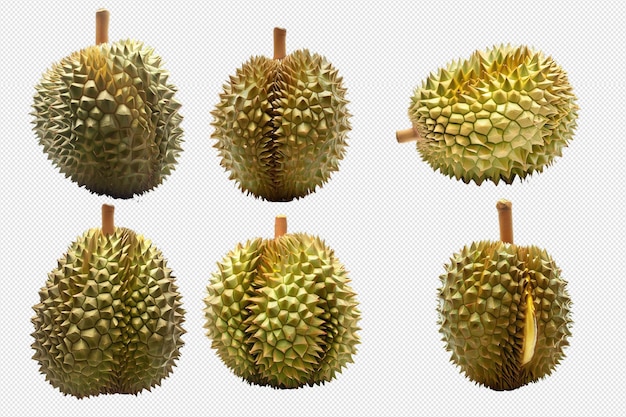 Durian fruits Png