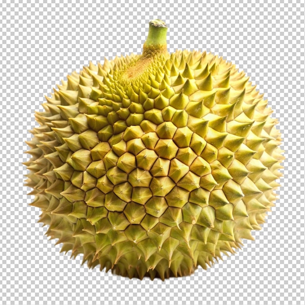 PSD durian transparent background