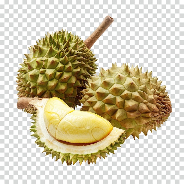 PSD durian transparent background