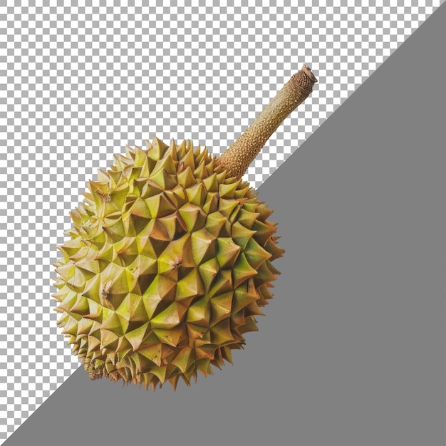 Durian transparent background