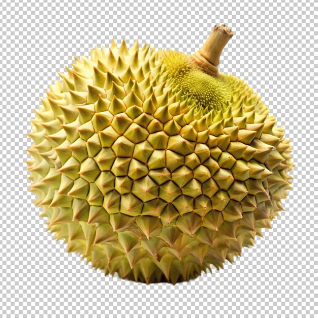 PSD durian on transperent back ground