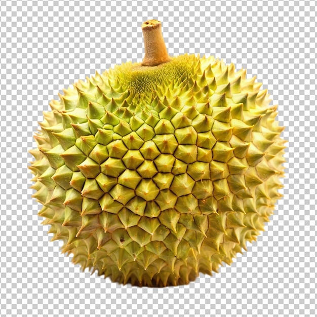 durian on white background