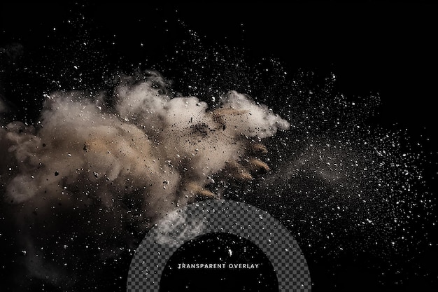 PSD dust particles isolated