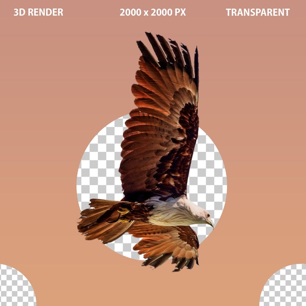 PSD eagle png image with transparent isolated background