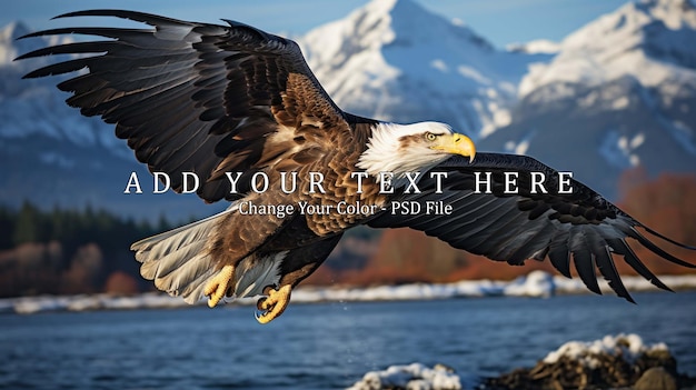 eagle soaring above the water