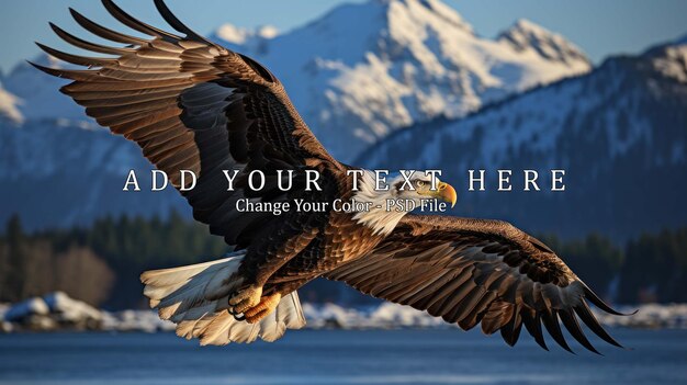 eagle soaring above the water