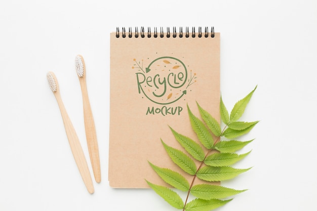 Eco notebook and toothbrushes