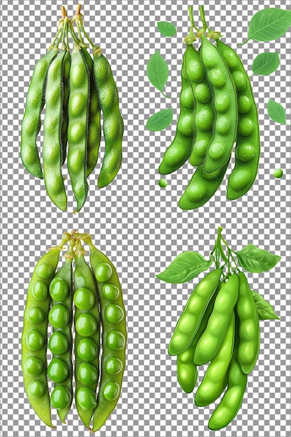 PSD edamame hyperrealistic isolated png with clear transparent background highly detailed