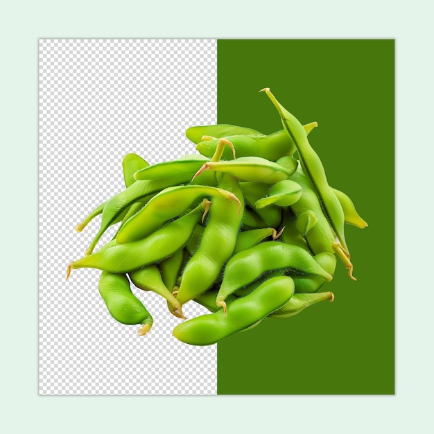 Edamame isolated Edamame PSD Fresh Healthy Edamame vegetable illustration