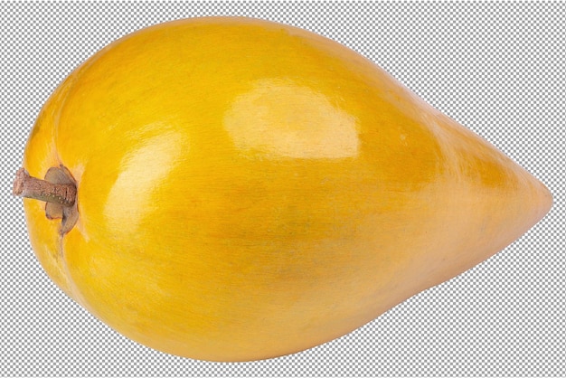 Egg fruit Canistel Yellow Sapote isolated on a transparent background