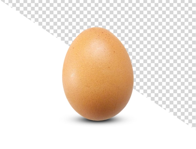 an egg is on a white background with a grid of squares