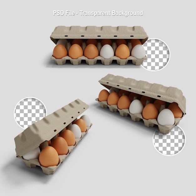 PSD eggs in the carton package box