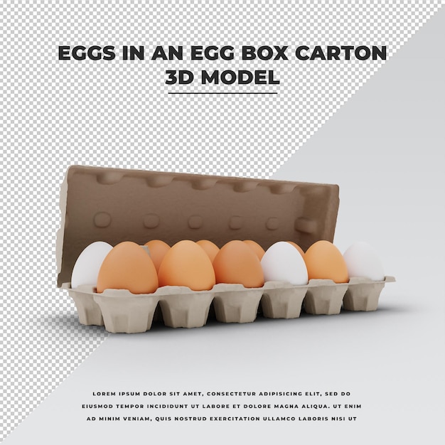 Eggs in an Egg Box Carton