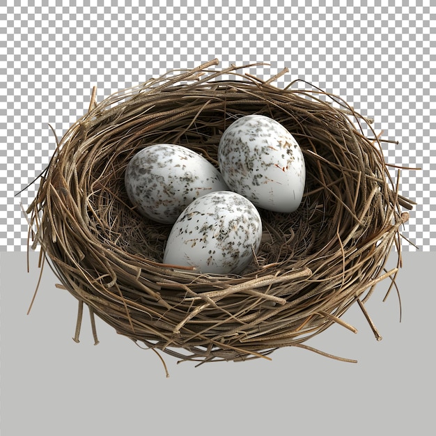 Eggs in a Nest on Transparent background Ai Generated