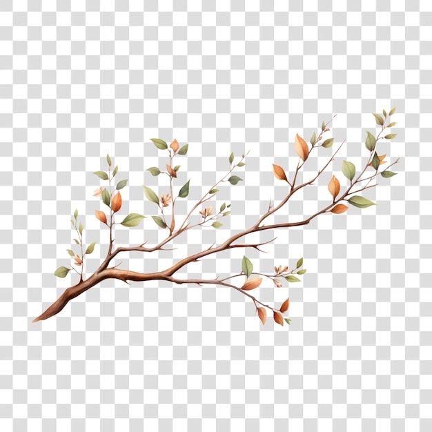 Elegant autumn branch illustration