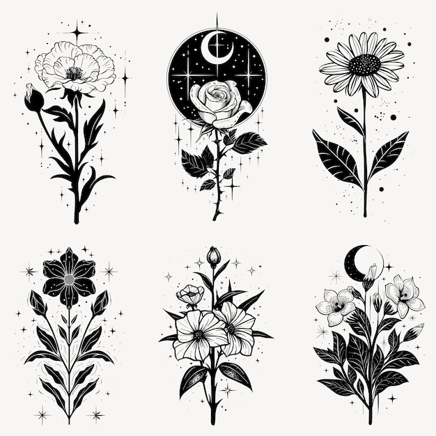 Elegant black and white floral designs