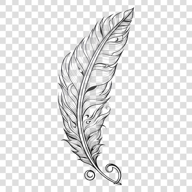 PSD elegant feather pen illustration