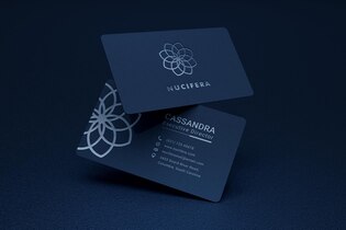 Professional business cards