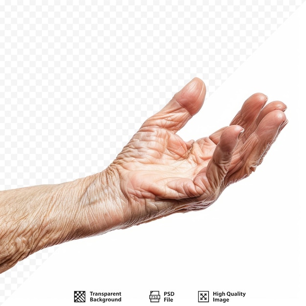 Elegant old woman s hand with perfect manicure isolated over white isolated background Old woman holding something in the air