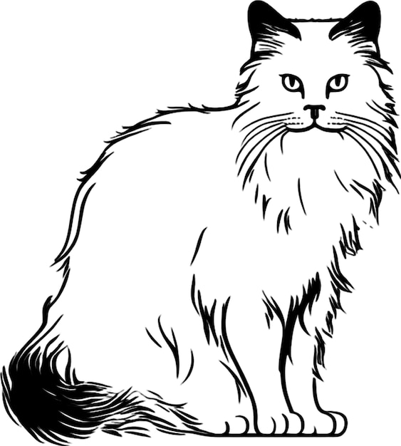 PSD elegant persian cat silhouette in black stencil style