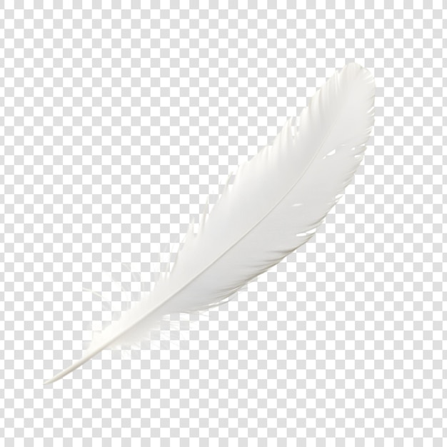 PSD elegant a white feather on a white background