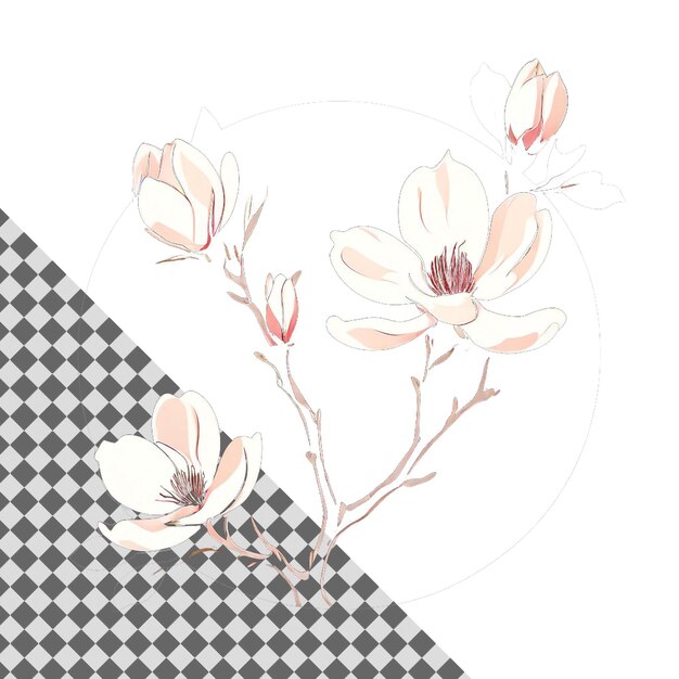 PSD elegant white flower drawing with delicate petals isolated on a transparent background