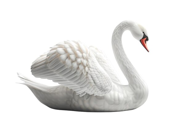 PSD elegant white swan isolated on white background studio product photo aig57