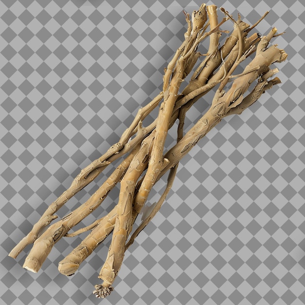 Eleuthero Root Herb Type Eleutherococcus Senticosus Form of Isolated Object on Clean Background