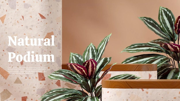 PSD empty space wood and terrazzo podium in landscape brown wall and calathea plant 3d render image