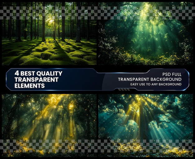 PSD enchanted forest within the depths of the ancient on transparent background