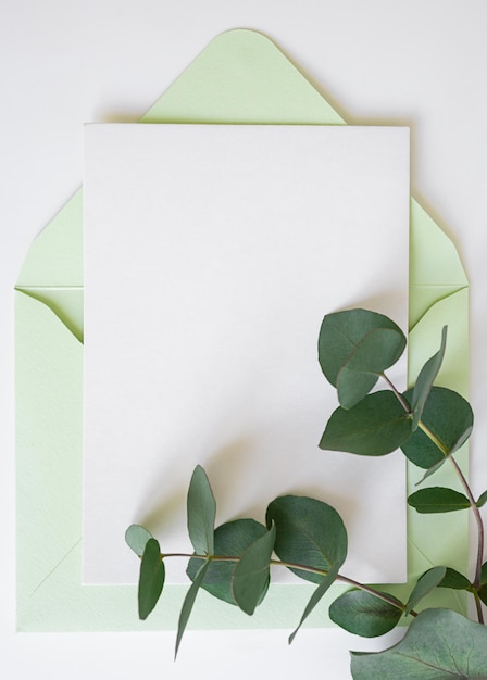 PSD eucalyptus branch and green envelope with copy space