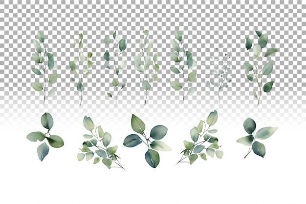 PSD eucalyptus watercolor seamless border set for sage green wedding invitations