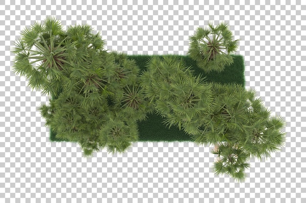 Exotic island on transparent background. 3d rendering - illustration