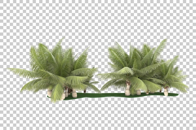 Exotic island on transparent background. 3d rendering - illustration