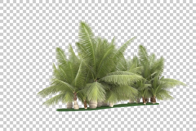 Exotic island on transparent background. 3d rendering - illustration