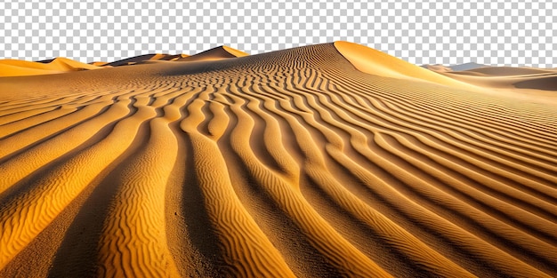 Expansive golden sand dunes under bright sun in the desert landscape cut out transparent