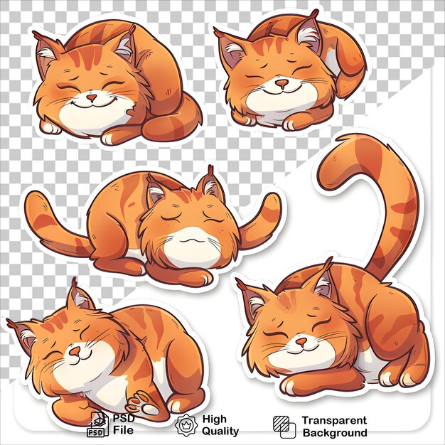 PSD expressive orange cat cartoons with crisp white background