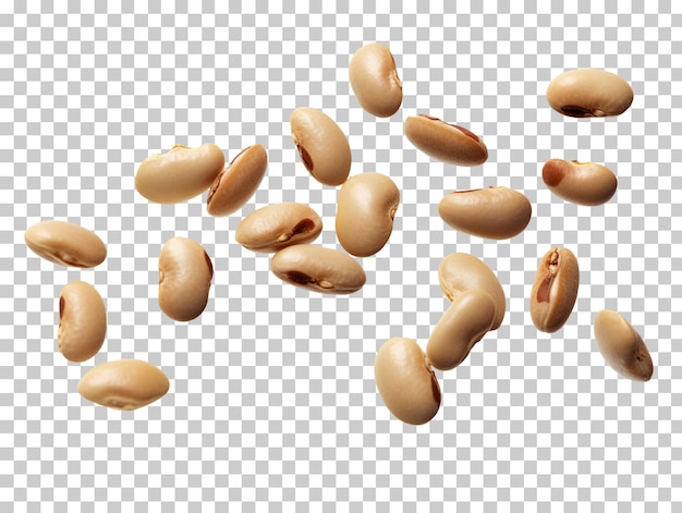 PSD falling beans isolated on transparent background png psd