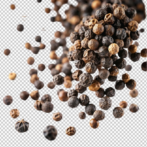 falling black pepper peppercorn on transparent background