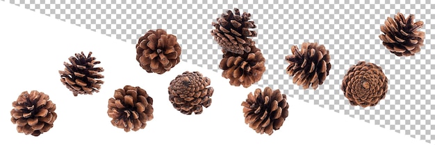 Falling pinecones isolated