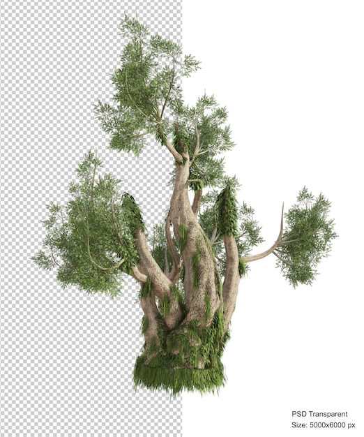 Fantastic tree isolated 3d render