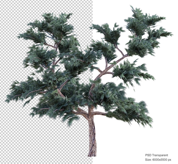 Fantastic tree isolated 3d render