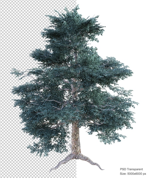 Fantastic tree isolated 3d render