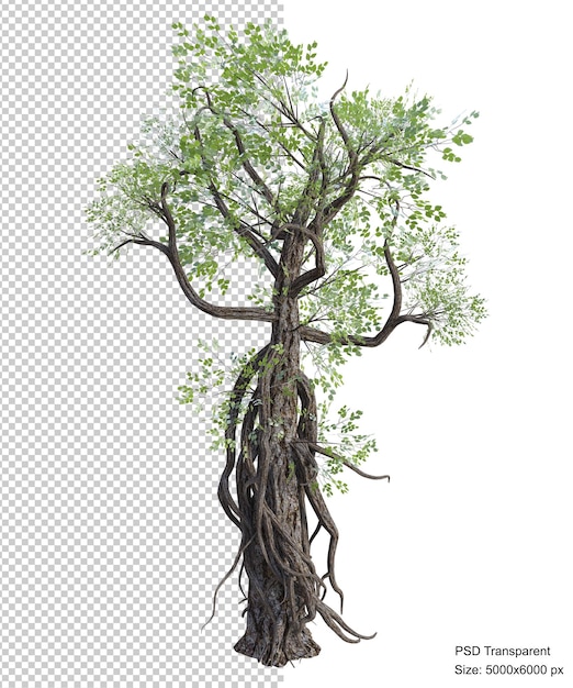 Fantastic tree isolated 3d render